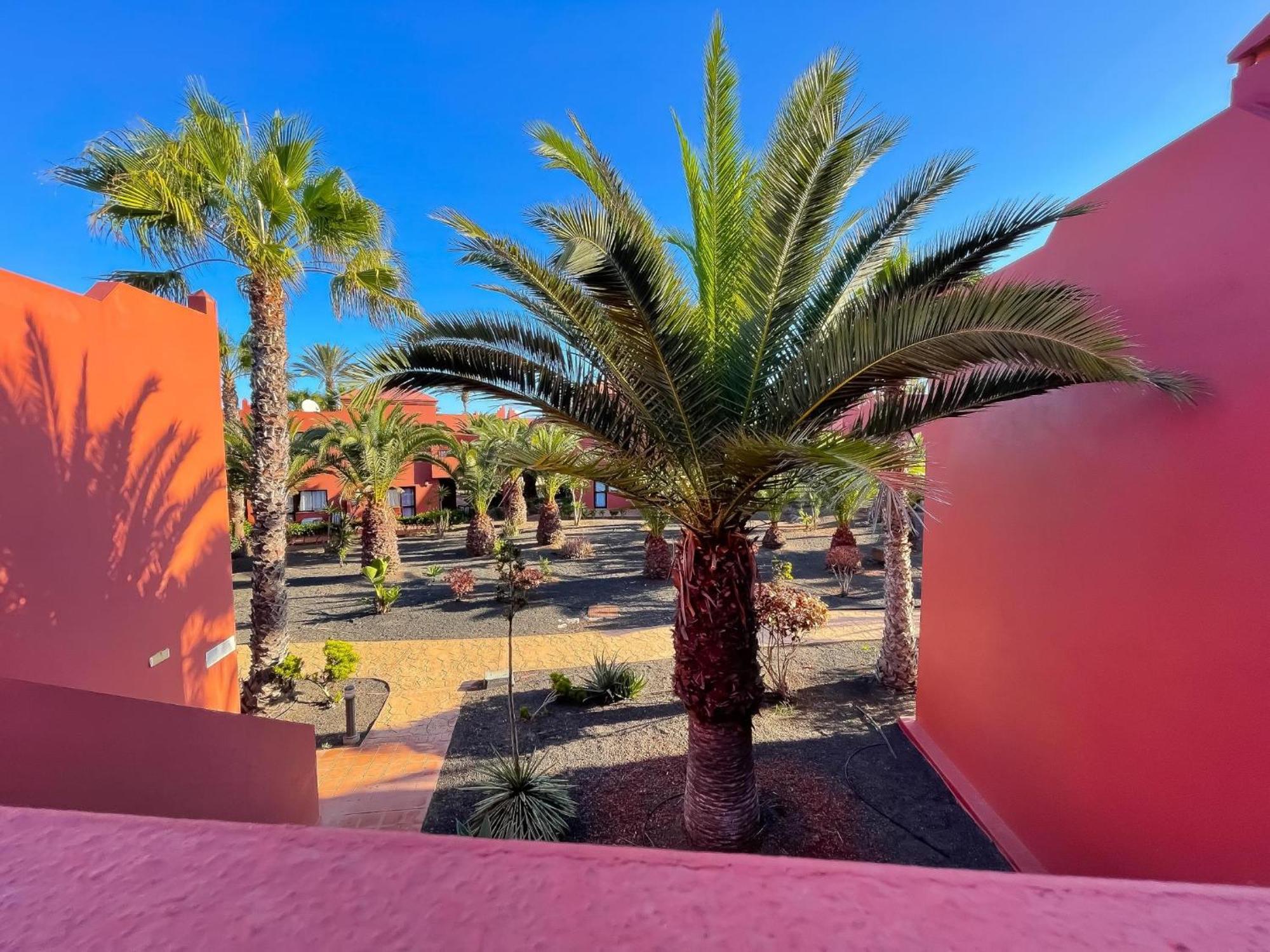 Apartamento Oasis Tamarindo By Holidays Fuerteventura